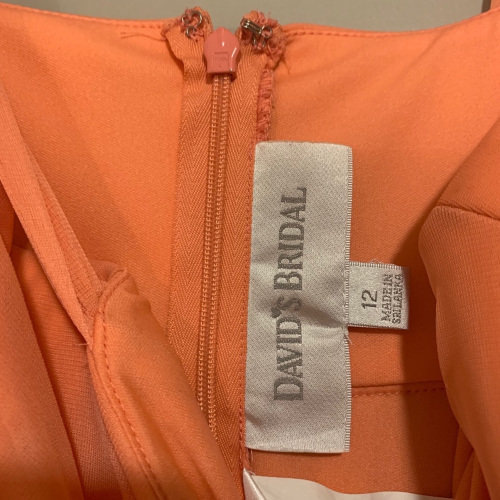 David Bridal- Coral Girls Size 12 Short Dreas